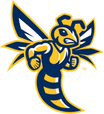 Image result for Wasps Football Club