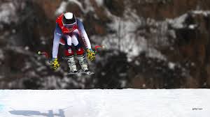 Attēlu rezultāti vaicājumam “Trichia alpina young”