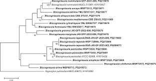 Attēlu rezultāti vaicājumam “Biscogniauxia granmoi”