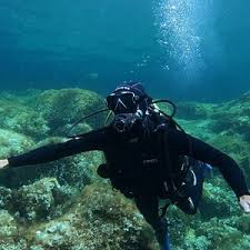 Image result for Abyss Dive Club