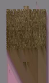 Attēlu rezultāti vaicājumam “Pistillaria sp.”