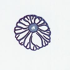 Image result for coprinus