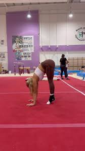 Image result for South Essex Gymnastics Club
