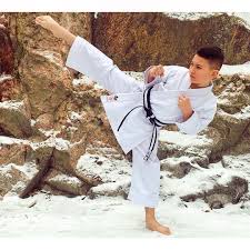 Image result for Seishin Jc