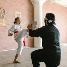 Image result for COURT FIELDS karate Academy