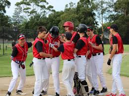 Image result for Waverley Badminton Club