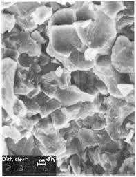 Image result for SEM micrographs of Novaculite Arkansas