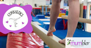 Image result for York University Gymnastics Club