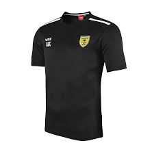 Image result for Drefach Cricket & Football Club