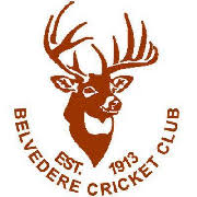 Image result for Bredgar Cricket Club