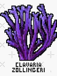 Attēlu rezultāti vaicājumam “Clavaria zollingeri”