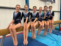 Image result for Torbay Olympic Gymnastics Club