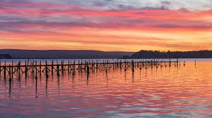 Image result for Poole Harbour
