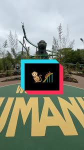 Image result for Chessington Bowmen