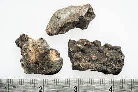 Attēlu rezultāti vaicājumam “Cyanophyta”