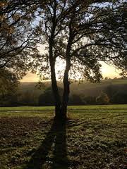 Image result for Tring Rambling Club
