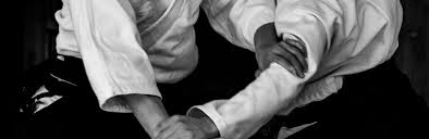 Image result for Budo Shin Ryu Kempo Jujitsu Academy
