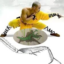 Image result for Jade Dragon School of Kung Fu and Qigong (Reading)