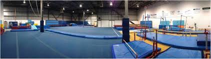 Image result for Kingston Gymnastics