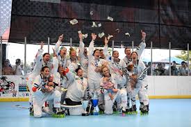 Image result for Vipers Roller Hockey Team