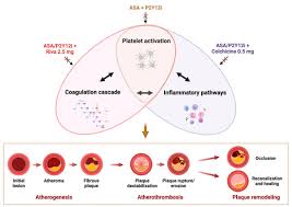 Image result for Hemonetics CCS