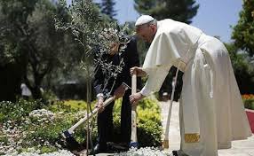 Image result for foto criação de deus