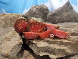 Afbeeldingsresultaat voor CDB tomato