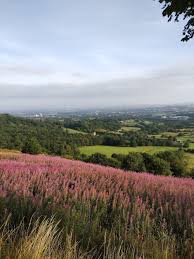 Image result for Werneth Golf Club