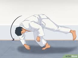 Image result for Phoenix Star Judo Club