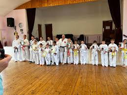 Image result for Twyford Higashi Karate Club