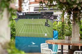 Image result for Croydon Wimbledon Octopush Club