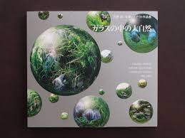 Znalezione obrazy dla zapytania takashi amano%