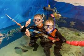 Image result for Woking Junior Snorkelling Club