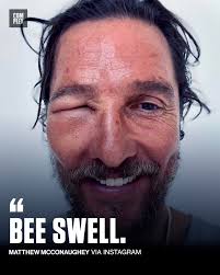 Image result for Bugaboo Bee Matthew McConaughey
