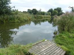 Image result for Bay Malton Angling Club