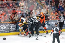 Image result for Sheffield Steelers