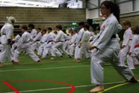 Image result for Thames Valley Shotokan Karate