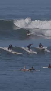 Image result for Scarborough Malibu Surf Club