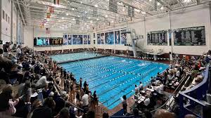 Image result for Cleveland Divers