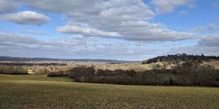 Image result for Bidborough Cc