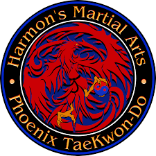 Image result for Phoenix Martial Arts