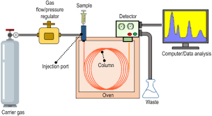 Image result for  g   c O ~