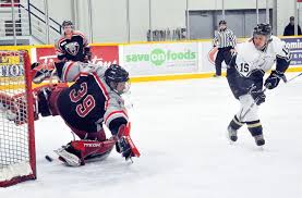 Image result for Demons Skater Hockey Club