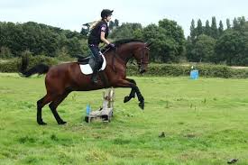 Image result for The Chobham Common Riders Association