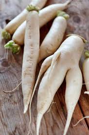 Image result for Rettich