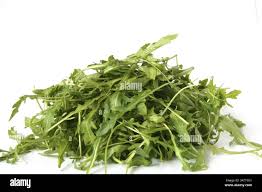 Attēlu rezultāti vaicājumam “Erysimum hieracifolium fruit”