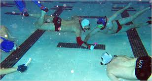 Image result for Nautilus Underwater Hockey Club