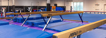 Image result for Faversham Gymnastic & Activity Centre