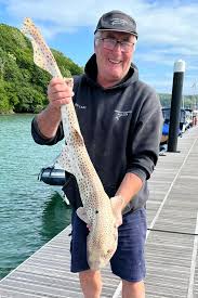 Image result for Paignton Sea Anglers Association