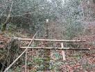 SX4469 : A flight of steps up to the reservoir for Morwellham hydroelectric - via Daymix